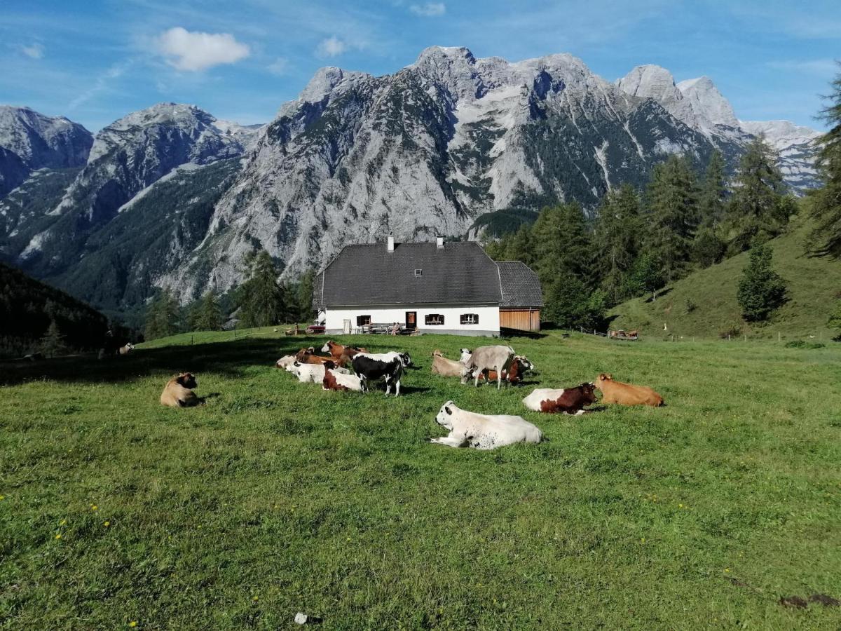 Gausrab Villa Hinterstoder Luaran gambar